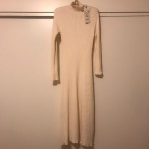 Zara extra long wool dress